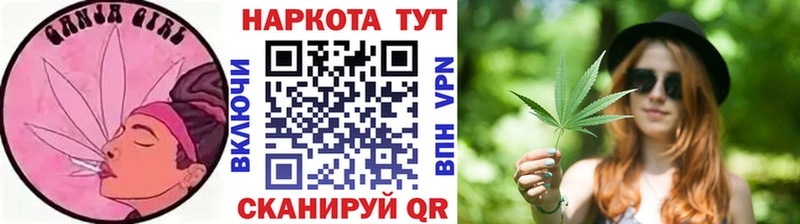Какие есть наркотики Новоржев мега сайт Меф ГАШ Канабис Галлюциногенные грибы