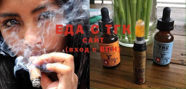 индика Киреевск