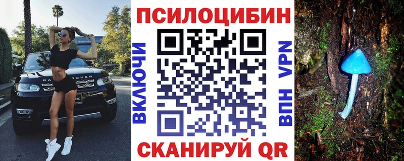 Галлюциногенные грибы Psilocybe  Новоржев 
